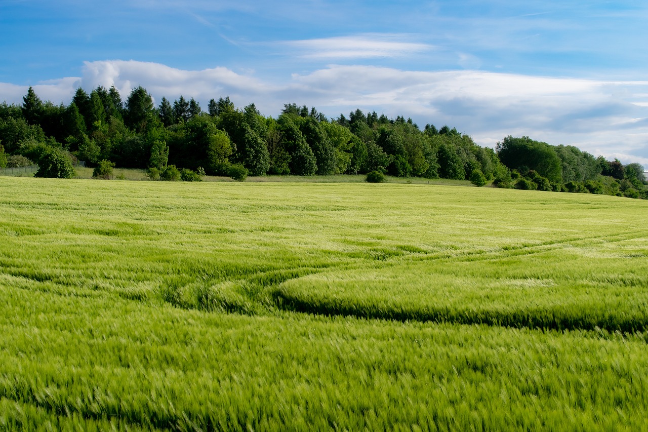 The Influence of the Aztecs on Modern Agriculture